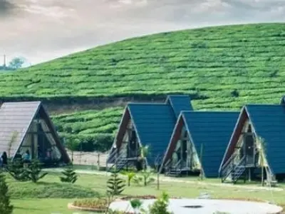 Bộ sưu tập ảnh Villa đồi chè Mộc Châu không thể bỏ lỡ