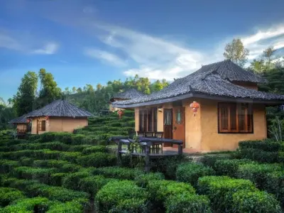 Bộ sưu tập ảnh Villa đồi chè Pleiku hấp dẫn mọi du khách