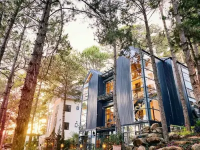 Tuyển chọn ảnh Villa đồi thông Đà Lạt đẹp nhất hiện nay