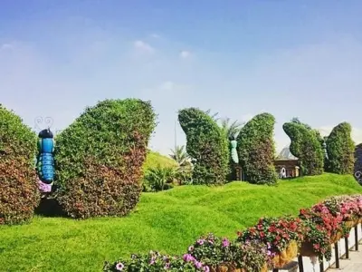 Khám phá Vườn bướm Dubai – Thiên đường sắc màu sa mạc