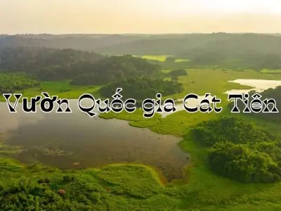 Vườn Quốc gia Cát Tiên - Trải nghiệm cảnh quan rừng già