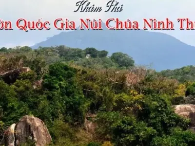 Vườn Quốc gia Núi Chúa - Kho báu thiên nhiên hoang sơ