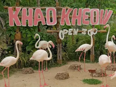 Khám phá thế giới động vật tại Vườn thú Khao Kheow