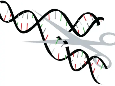 Sự thật gây sốc phía sau công nghệ chỉnh sửa gene hiện đại