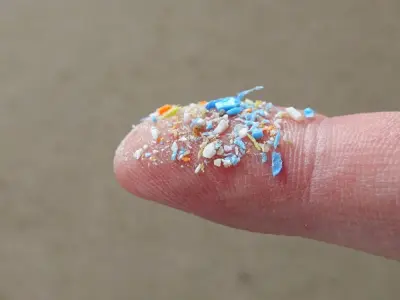 Vi nhựa và sự thật phía sau thói quen sinh hoạt hiện đại