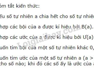 Bội của một số là gì? Khám phá chi tiết các khái niệm liên quan