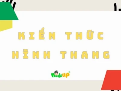 Cạnh Đáy Là Gì? Khái Niệm và Đặc Điểm Trong Các Hình Học