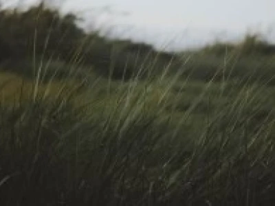 Cơ học là gì? Khám phá thế giới của ngành kỹ thuật và ứng dụng