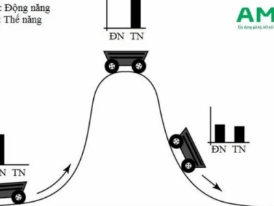 Cơ năng là gì? Khám phá toàn diện kiến thức vật lý