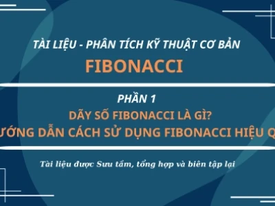 Dãy số Fibonacci là gì những bí ẩn thú vị trong tự nhiên
