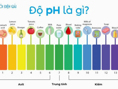 Độ pH là gì? Hiểu rõ ý nghĩa và cách duy trì cân bằng pH cho cơ thể