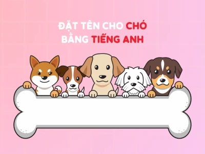 Khám phá 500+ Tên Hay và Độc Đáo Cho Chó Yêu Năm 2026
