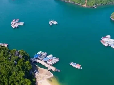 Khám phá Đảo Ti Tốp Hạ Long - Điểm đến hút hồn du khách năm 2026
