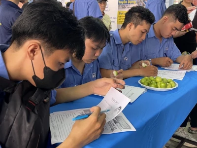 Khám phá Ngành Kỹ thuật Công nghệ: Cơ hội, Thách thức và Lộ trình Sự nghiệp 2026