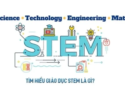 Khám Phá "Stem Nghĩa Là Gì": Hành Trình Giáo Dục Toàn Diện