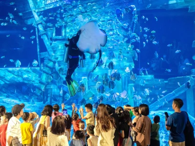 Khám Phá Thủy Cung Lotte Mall Tây Hồ: Trải Nghiệm Đại Dương Thu Nhỏ