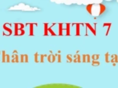Khí Khổng Là Gì? Cấu Tạo, Chức Năng và Vai Trò Quan Trọng Trong Thực Vật
