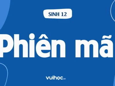 Làm khuôn mẫu cho quá trình phiên mã là nhiệm vụ của ai?