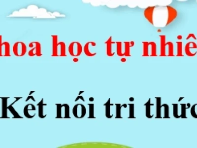 Năng Lượng Sóng Biển Khám Phá Tiềm Năng Tái Tạo Của Biển Cả