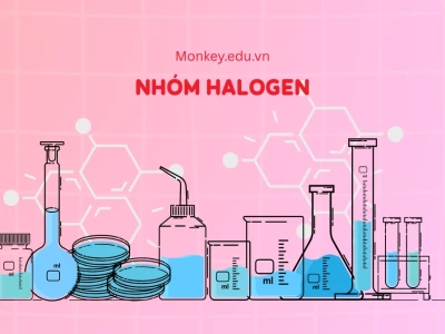 Nhóm Halogen là gì? Khám phá chi tiết về các nguyên tố và ứng dụng