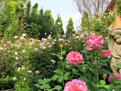 Phim trường Vũ Garden địa điểm chụp ảnh cưới lý tưởng tại TP.HCM