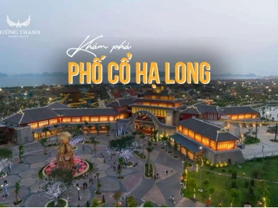 Phố Cổ Hạ Long: Nét Đẹp Giao Thoa Giữa Hoài Cổ và Hiện Đại
