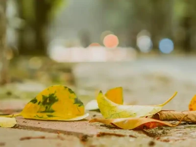 Phố Phan Đình Phùng Hà Nội: Vẻ đẹp lãng mạn và những góc nhìn độc đáo