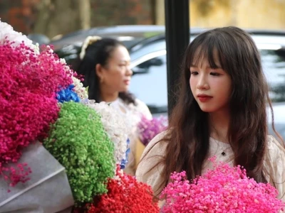 Phố Phan Đình Phùng: Vẻ đẹp lãng mạn và trầm mặc giữa lòng Hà Nội