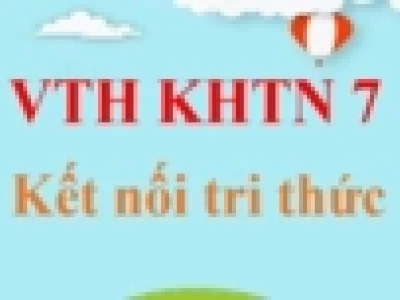 Phương trình quang hợp: Khái niệm, vai trò và công thức chi tiết