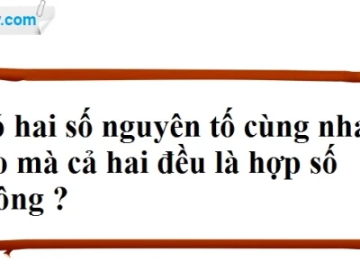Số Nguyên Tố Cùng Nhau Là Gì? Cách Nhận Biết Và Ví Dụ Chi Tiết