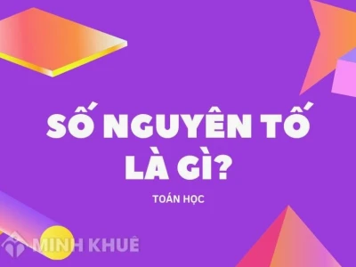 Số Nguyên Tố Là Gì? Khám Phá Định Nghĩa, Tính Chất và Cách Tìm Hiểu Chi Tiết