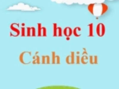 So sánh chi tiết quá trình nguyên phân và giảm phân trong sinh học