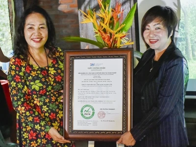 Suối Rao Ecolodge: Hành trình xanh tới khu du lịch Net Zero tiên phong