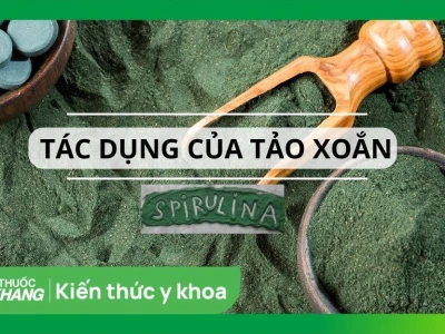 Tảo vàng Nhật Bản: Công dụng, cách dùng và lưu ý quan trọng