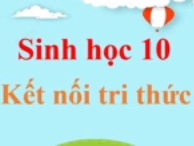 Tế bào nhân sơ và tế bào nhân thực: Phân biệt cấu trúc, chức năng và vai trò