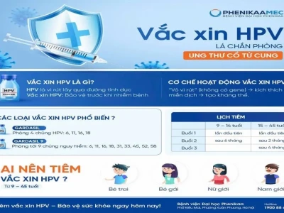 Tiêm vắc xin HPV 2026: Thông tin chi tiết về đối tượng, tác dụng và giá