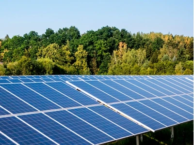 Trang trại điện mặt trời (Solar Farm) là gì? Giải pháp năng lượng tái tạo đột phá