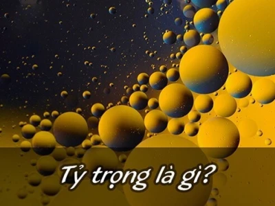 Tỷ trọng là gì? Phương pháp đo và cách tính chi tiết