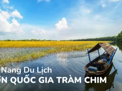 Vườn quốc gia Tràm Chim: Khám phá hệ sinh thái độc đáo và kinh nghiệm tham quan