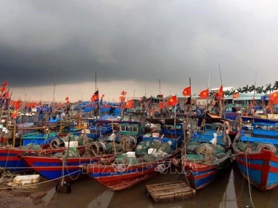 Ý nghĩa lá cờ Việt Nam: Biểu tượng thiêng liêng của dân tộc