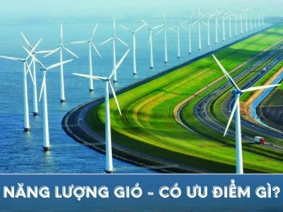 Những ưu điểm nổi bật của năng lượng gió là gì?