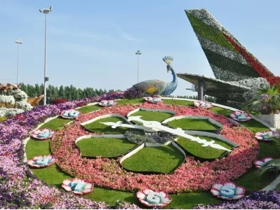 Khám phá Khu vườn kỳ diệu Dubai – Thiên đường hoa sa mạc