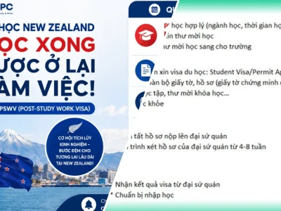 Quy trình apply du học New Zealand ngành quản lý dự án 2026