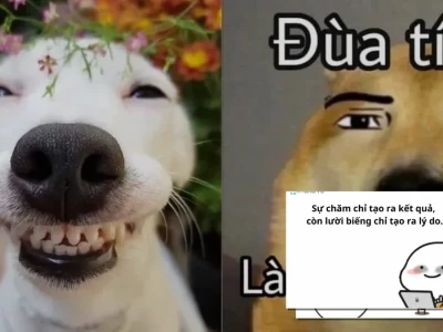 100+ Meme Cuộc Sống Hài Hước Ý Nghĩa: Tiếng Cười Giải Tỏa Áp Lực?